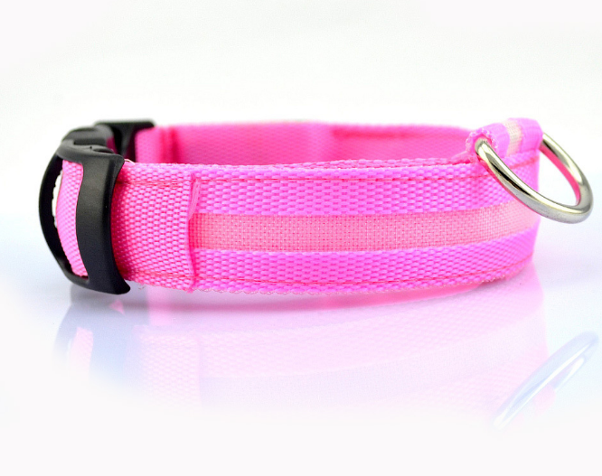 Safety Dog LED Collar