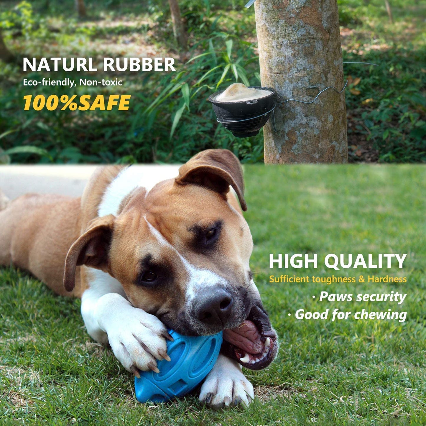 Pet Supplies Dog Toys Rubber Sounding Rugby Wear-Resistant Bite-Resistant Sounding Dog Ball